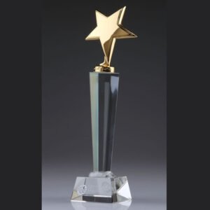 Gold Metal Star Crystal Tower Awards 12"